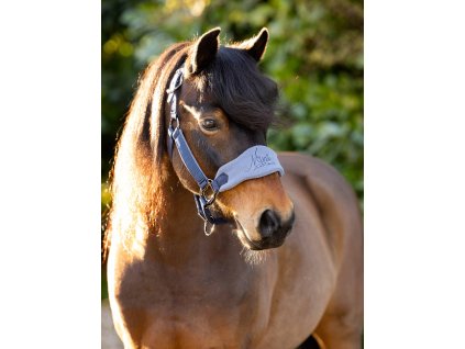 Ohlávka s vodítkem LeMieux Mini Vogue1