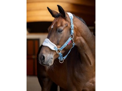 Ohlávka s vodítkem LeMieux Vogue1