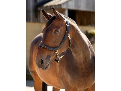 Ohlávka LeMieux Leather Grooming1