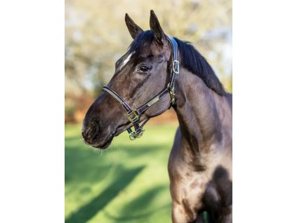 Ohlávka LeMieux Rope Control1
