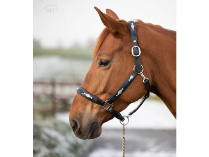 Ohlávka HFI Polo Černá/Modrá/Stříbrná