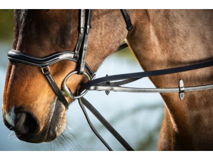 Průvlečky HFI kožené Černá