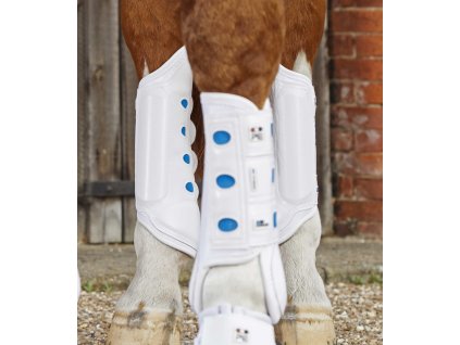 Zadní kamaše Premier Equine Air Cooled Original Eventing1