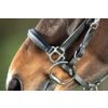 Uzdečka HFI Combo Uzdečka/Ohlávka (Barva Černá, Velikost FULL)