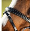 Uzdečka HFI Elegant3