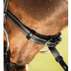 Uzdečka HFI Elegant1