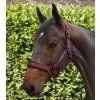Ohlávka Premier Equine Corda s vodítkem2