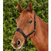 Ohlávka Premier Equine Duco s vodítkem2