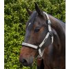 Ohlávka Premier Equine Duco s vodítkem2