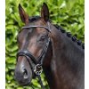 Uzdečka Premier Equine Stellazio1