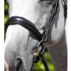Uzdečka Premier Equine Verdura4