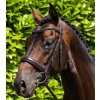 Uzdečka Premier Equine Verdura1