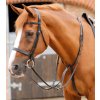 Martingal Premier Equine Fuscaldo2