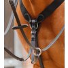 Poprsník Premier Equine Baressa2