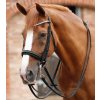 Otěže Premier Equine Leonardo2