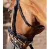 Podhrdelník Premier Equine2