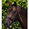 Uzdečka Premier Equine Finetti1