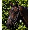Uzdečka Premier Equine Veneto1