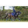 Podsedlová dečka LeMieux Suede Dressage Square2