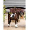 Podsedlová dečka LeMieux Suede Dressage Square2