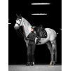 Podsedlová dečka LeMieux Loire Classic Dressage Square2