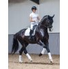 Podsedlová dečka LeMieux Cotton Dressage Square4