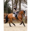 Podsedlová dečka LeMieux Cotton Dressage Square2