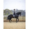 Podsedlová dečka LeMieux Self-Cool Dressage Square3