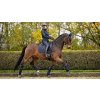 Podsedlová dečka LeMieux Soft Shell Anti Slip Dressage Square4
