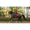 Podsedlová dečka LeMieux Crystal Suede Dressage Square2