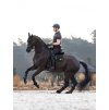 Podsedlová dečka LeMieux Puissance Suede Dressage Square3