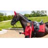 Podsedlová dečka LeMieux Loire Dressage Square2