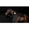 Podsedlová dečka LeMieux ProSorb Plain 2 Pocket Dressage Square3