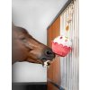 Hračka pro koně LeMieux Cupcake2