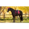 Podsedlová dečka LeMieux Loire Dressage Square Aw254