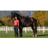 Podsedlová dečka LeMieux Loire Dressage Square Aw258