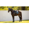 Podsedlová dečka LeMieux Essence Dressage Square SP262