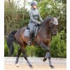 Podsedlová dečka Premier Equine European s beránkem drezurní 5