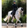 Zvony Premier Equine Carbon Tech Techno Wool2