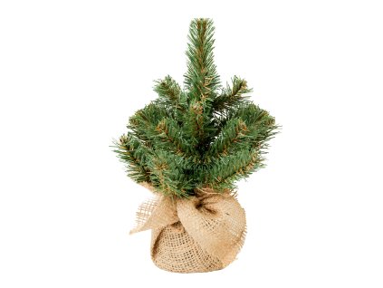 Vánoční stromek Narnie v květináči 25 cm