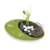 1231 misa bean s 20x13x7cm svetle zelena