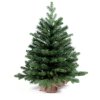 Vánoční stromek jedle Bernard v květináči 60 cm