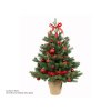 Vánoční stromek jedle Bernard v květináči 75 cm