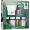 Sada pro výrobu svíček (Candle Making Kit) v zelené vánoční krabici. Uvnitř je skleněná nádoba, balení malých zelených stromků na dekoraci a čtyři lahvičky s voskovými částicemi (zelené a bílé). Vůně Mistletoe & Fir (Jmelí a Jedle).