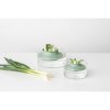 Herbs and Vegetables Regrow Kit, TASTY+ Jade Green 8710755124402 Brabantia 96dpi 1000x1000px 7 NR 15426