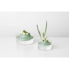 Herbs and Vegetables Regrow Kit, TASTY+ Jade Green 8710755124402 Brabantia 96dpi 1000x1000px 7 NR 15425