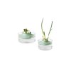 Herbs and Vegetables Regrow Kit, TASTY+ Jade Green 8710755124402 Brabantia 96dpi 1000x1000px 7 NR 15419
