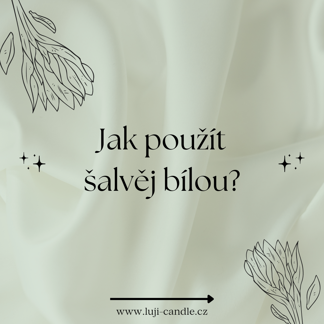 Jak použít šalvěj bílou?
