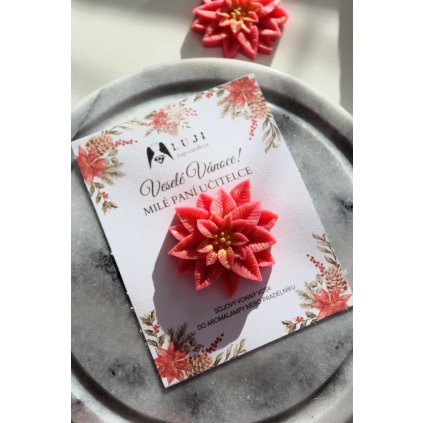 Vánoční vonný vosk s věnováním - jablečný závin