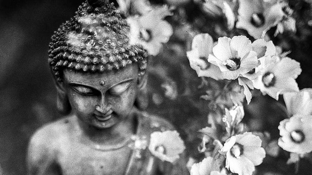 Buddhismus pro začátečníky